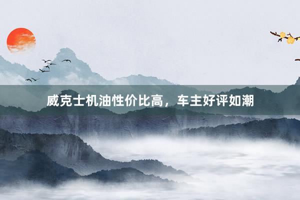威克士机油性价比高，车主好评如潮